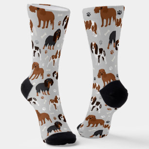 Cavalier King Charles Spaniel Paws and Bones Socks