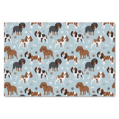 Cavalier King Charles Spaniel Paws and Bones Tissue Paper