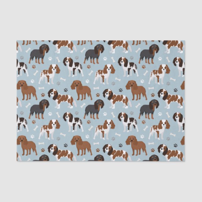 Cavalier King Charles Spaniel Paws and Bones Tissue Paper (Front)