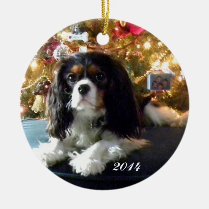 Cavalier King Charles Dog Christmas Holiday Ornament Up To Snow Good 