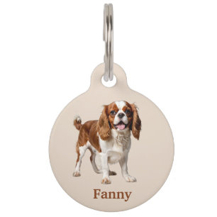 Cavalier King Charles Spaniel Personalize Pet ID Tag