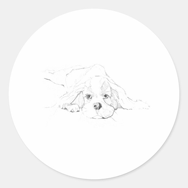 Cavalier King Charles Spaniel Pet Classic Round Sticker (Front)