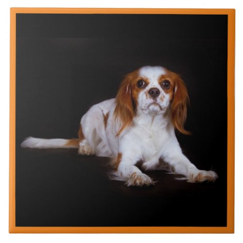 Cavalier King Charles Spaniel Pet Love KEEPSAKE Ceramic Tile