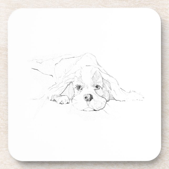 Cavalier King Charles Spaniel Pet Mug Beverage Coaster (Front)