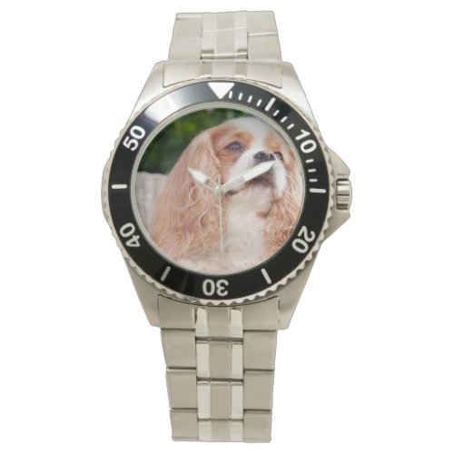 Cavalier King Charles Spaniel photo Watch