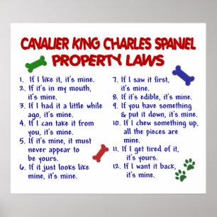 CAVALIER KING CHARLES SPANIEL PL2 POSTER