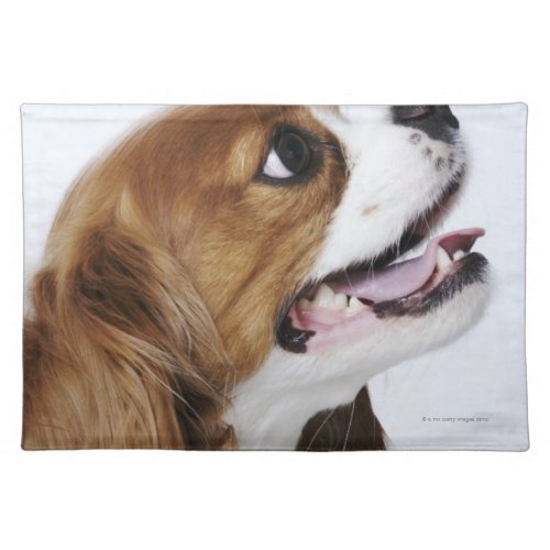 Cavalier King Charles Spaniel Placemat