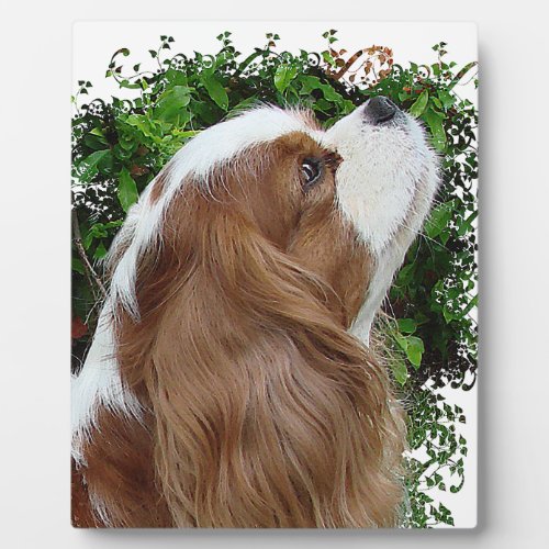 Cavalier King Charles Spaniel Plaque