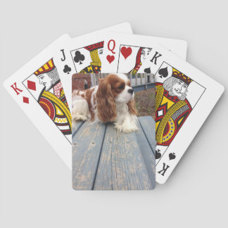 Cavalier King Charles Spaniel Poker Cards