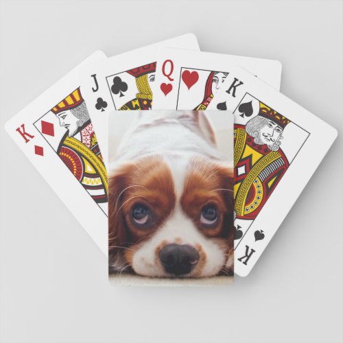 Cavalier King Charles Spaniel Poker Cards