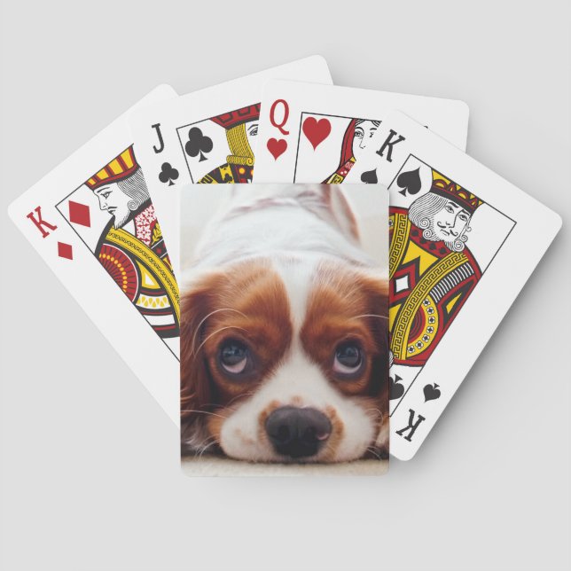 Cavalier King Charles Spaniel Poker Cards (Back)