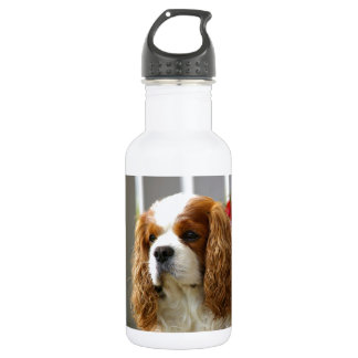 Cavalier King Charles Spaniel Portrait Water Bottle