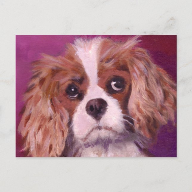 Cavalier King Charles Spaniel Postcard (Front)