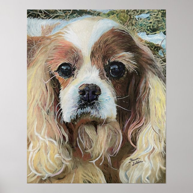 Cavalier King Charles Spaniel Poster (Front)