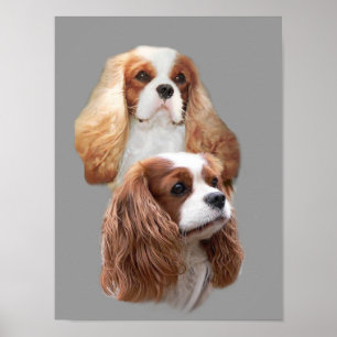 Cavalier King Charles Spaniel Pretty Girls Print