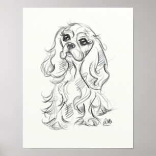 Cavalier king charles spaniel print sketch art