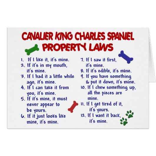 CAVALIER KING CHARLES SPANIEL Property Laws 2 Cards (Front Horizontal)