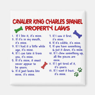 CAVALIER KING CHARLES SPANIEL Property Laws 2 Magnet