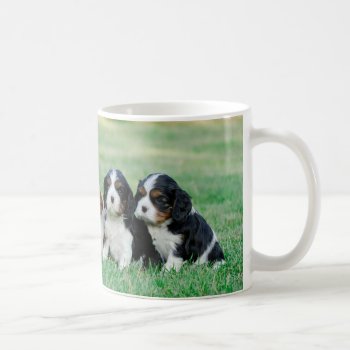Cavalier King Charles Spaniel Puppies Coffee Mug by petsArt at Zazzle