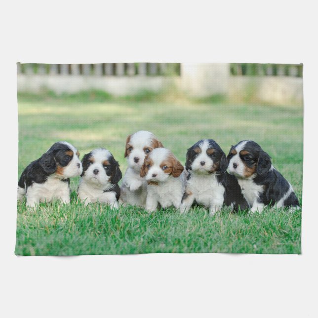 Cavalier King Charles Spaniel puppies Kitchen Towel (Horizontal)