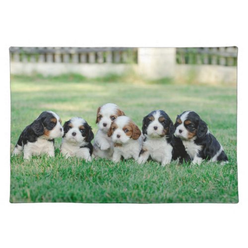 Cavalier King Charles Spaniel puppies Placemat