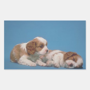 Cavalier King Charles Spaniel Puppies Rectangular Sticker by walkandbark at Zazzle