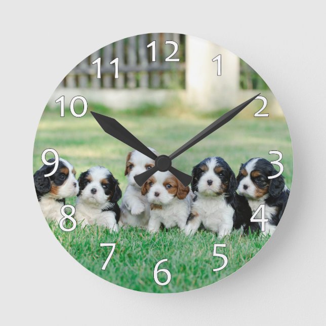 Cavalier King Charles Spaniel puppies Round Clock (Front)