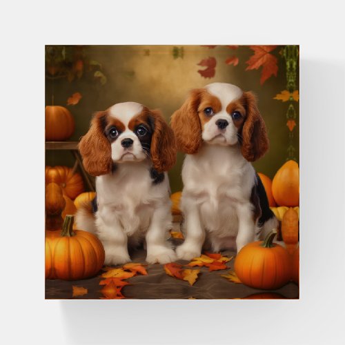 Cavalier King Charles Spaniel Puppy Autumn Pumpkin Paperweight