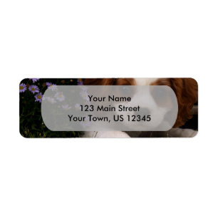 Cavalier King Charles Spaniel Puppy behind flowers Label