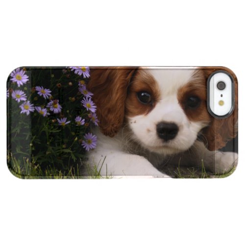 Cavalier King Charles Spaniel Puppy behind flowers Clear iPhone SE55s Case