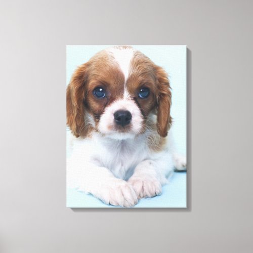 Cavalier King Charles Spaniel Puppy Canvas Print