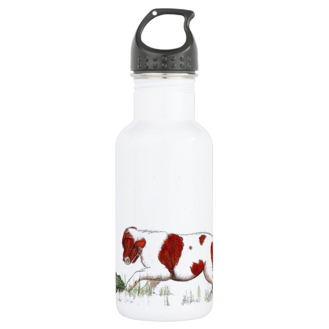 Cavalier King Charles Spaniel  puppy CKC Water Bottle (Front)