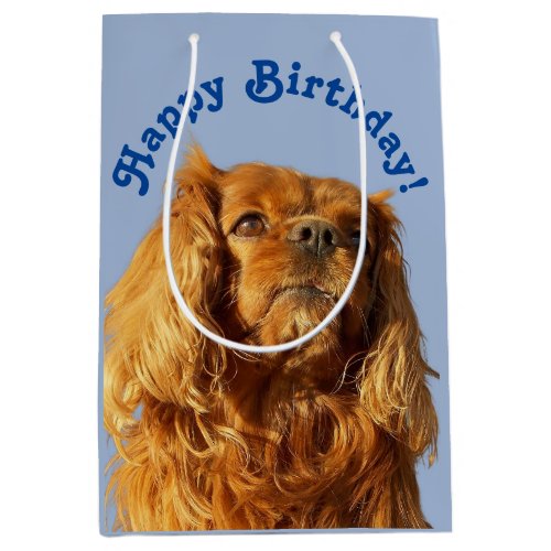 Cavalier King Charles Spaniel Puppy Dog Blue Medium Gift Bag