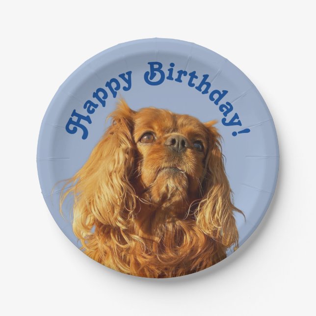 Cavalier King Charles Spaniel Puppy Dog Blue Paper Plates (Front)
