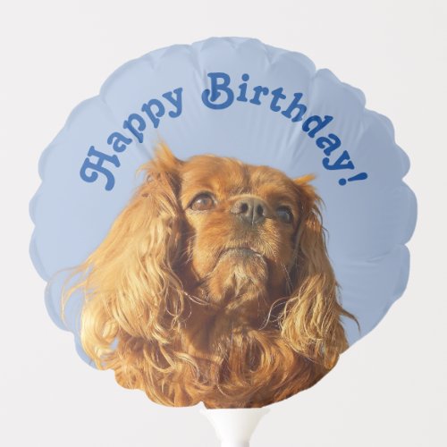 Cavalier King Charles Spaniel Puppy Dog Blue Party Balloon
