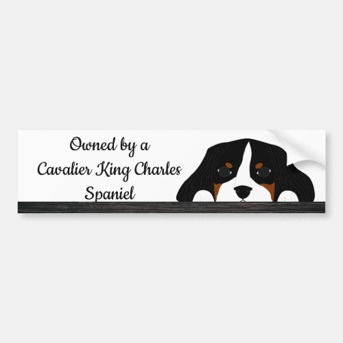 Cavalier King Charles Spaniel Puppy Dog Bumper Sticker