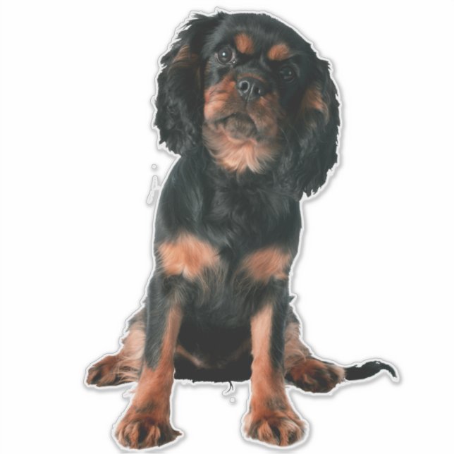 Cavalier King Charles Spaniel Puppy Dog Sticker (Front)
