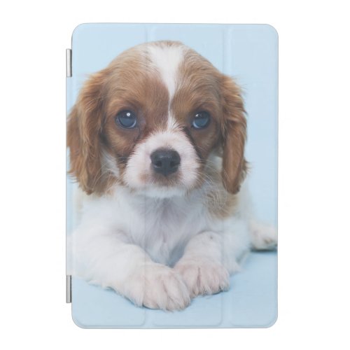 Cavalier King Charles Spaniel Puppy iPad Mini Cover