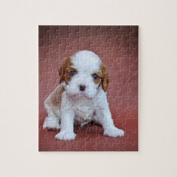 Cavalier King Charles Spaniel Puppy Jigsaw Puzzle by petsArt at Zazzle