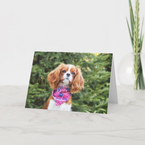 Cavalier King Charles Spaniel Puppy July 4th Card