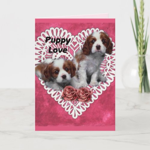 Cavalier King Charles Spaniel Puppy Love Holiday Card