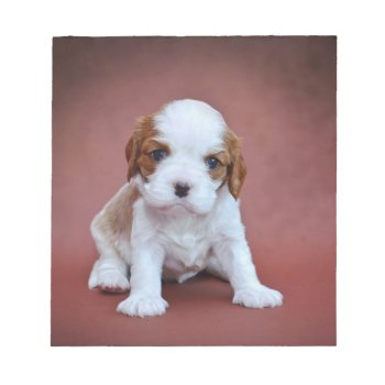 Cavalier King Charles Spaniel Puppy Notepad by petsArt at Zazzle