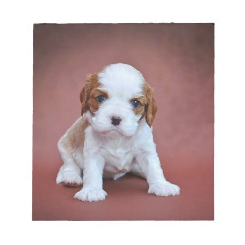 Cavalier King Charles Spaniel puppy Notepad