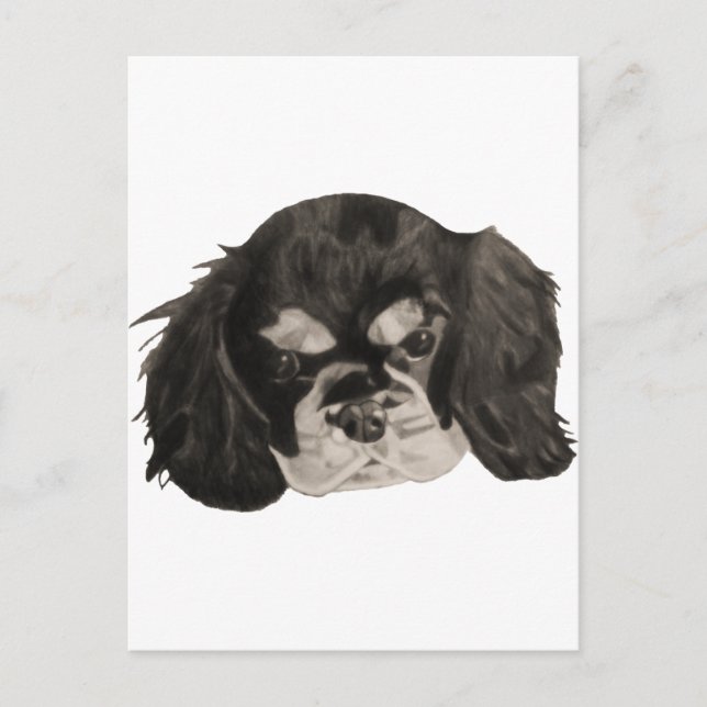 Cavalier King Charles Spaniel Puppy Postcard (Front)