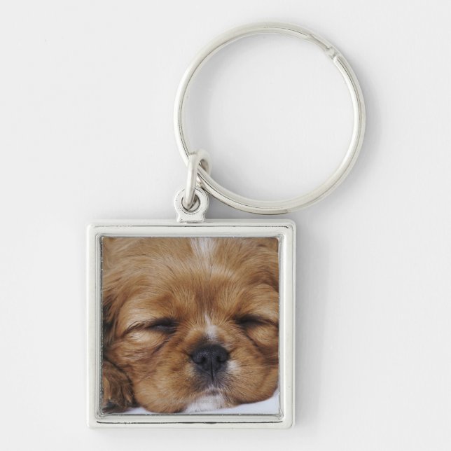 Cavalier King Charles Spaniel puppy sleeping Keychain (Front)