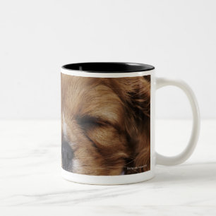 Cavalier King Charles Spaniel puppy sleeping Two-Tone Coffee Mug