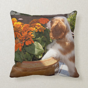 Cavalier King Charles Spaniel Puppy Smells Flowers Throw Pillow