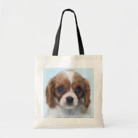 Cavalier King Charles Spaniel Puppy