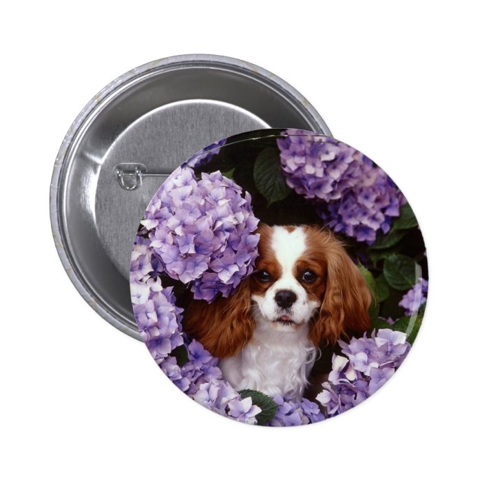 Cavalier King Charles Spaniel Red and White Button
