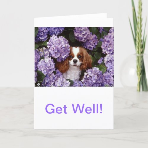 Cavalier King Charles Spaniel Red and White Card